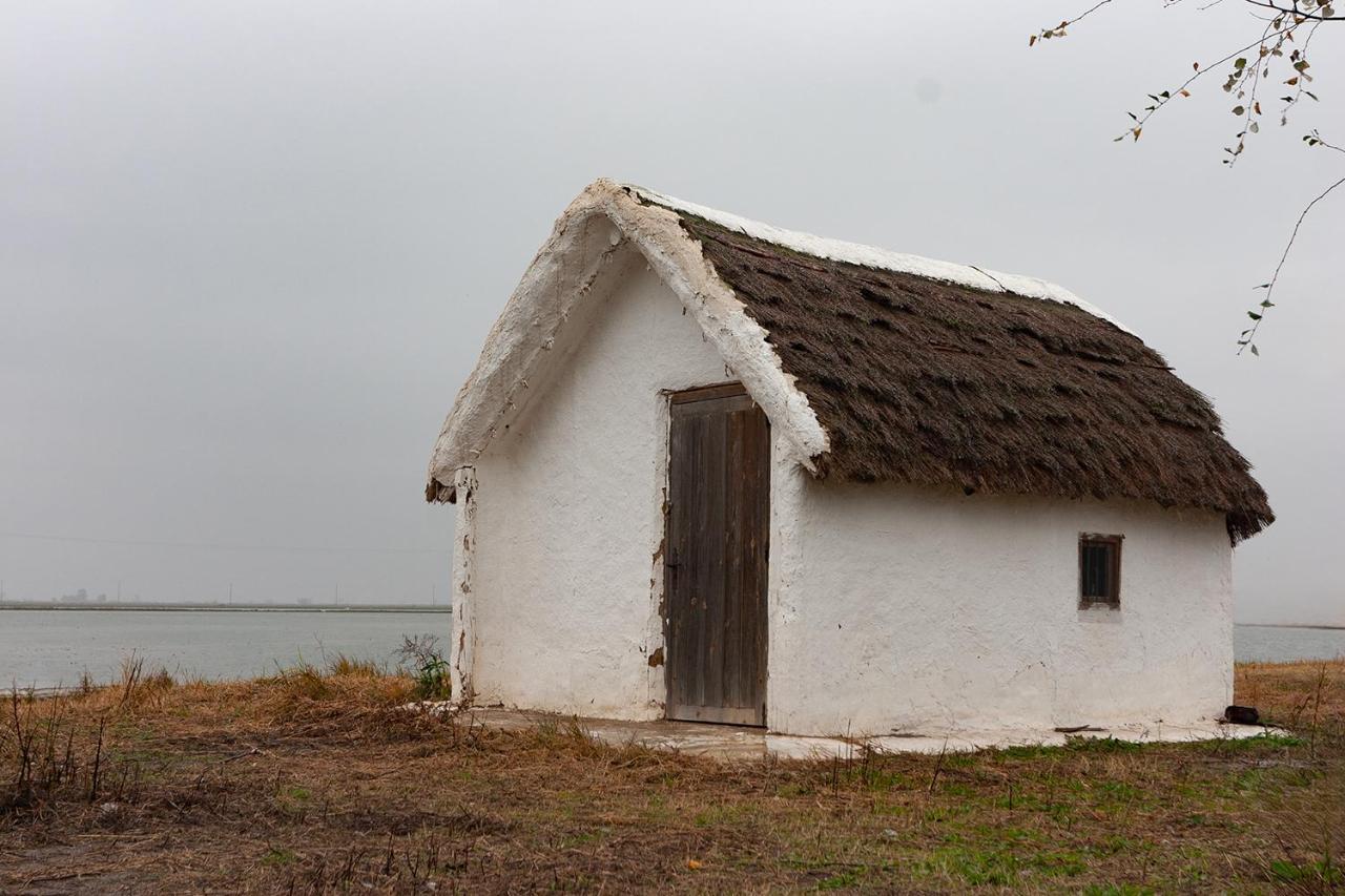 Appartement Salicornia